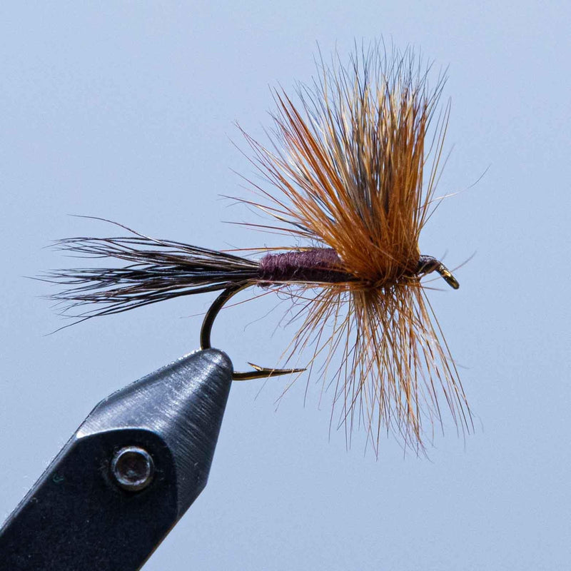 brown wulff at a maine fly shop
