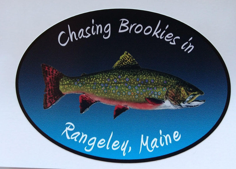 Oval sticker showing a brook trout with Rangely, Maine text