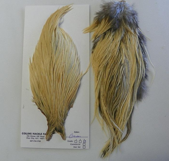 cream colored neck and saddle hackles from Collins Hackle Farm