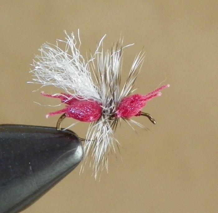 Ken's Crazy Ant Red from Rangeley Maine fly fishing shop