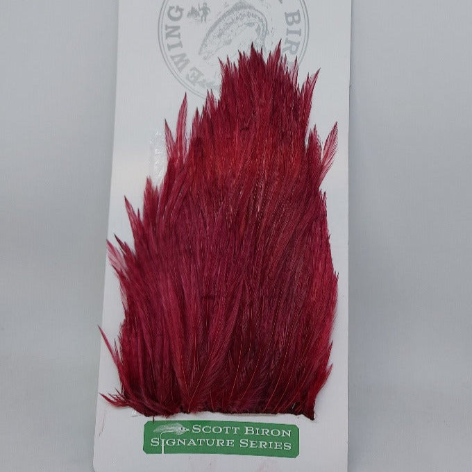 Dark red feather hackle tuft with pointed, layered barbs