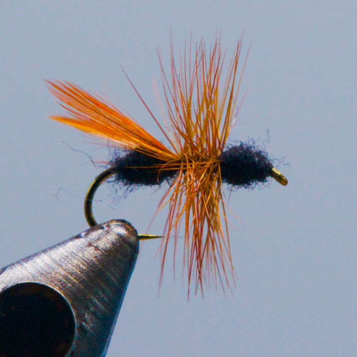 Flying ant fishing lure with black fuzzy body, orange feathered wings, and fly hook