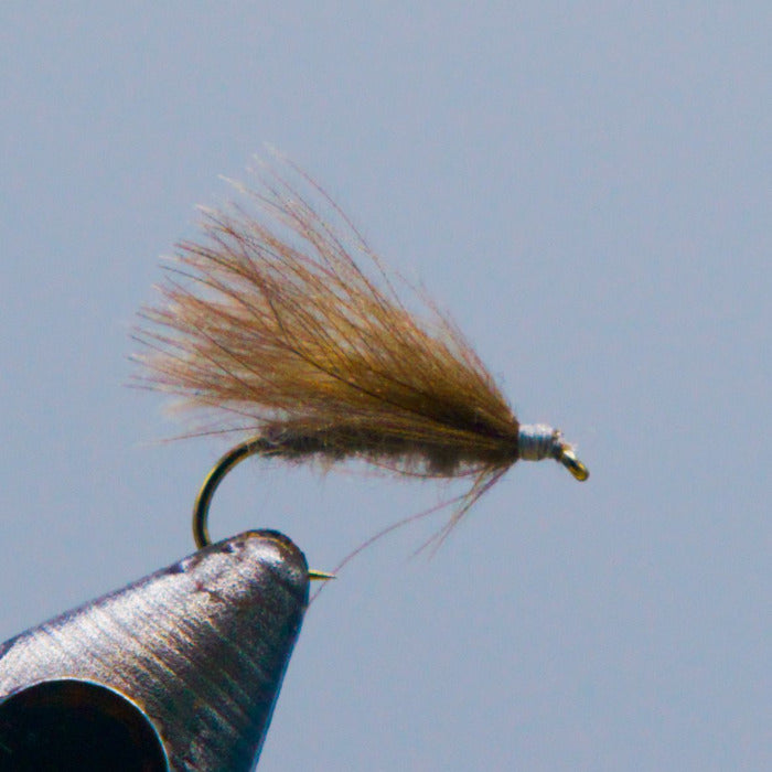 CDC caddis fly with brown feather tail and shiny dark hook