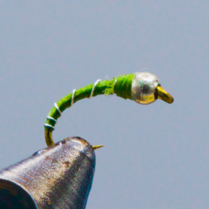 Green-striped midge fly with silver bead and gold hook