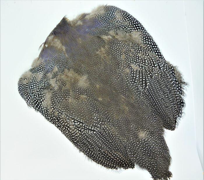 guinea fowl skin at a maine fly shop