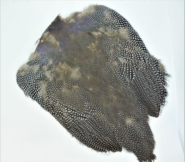 guinea fowl skin at a maine fly shop