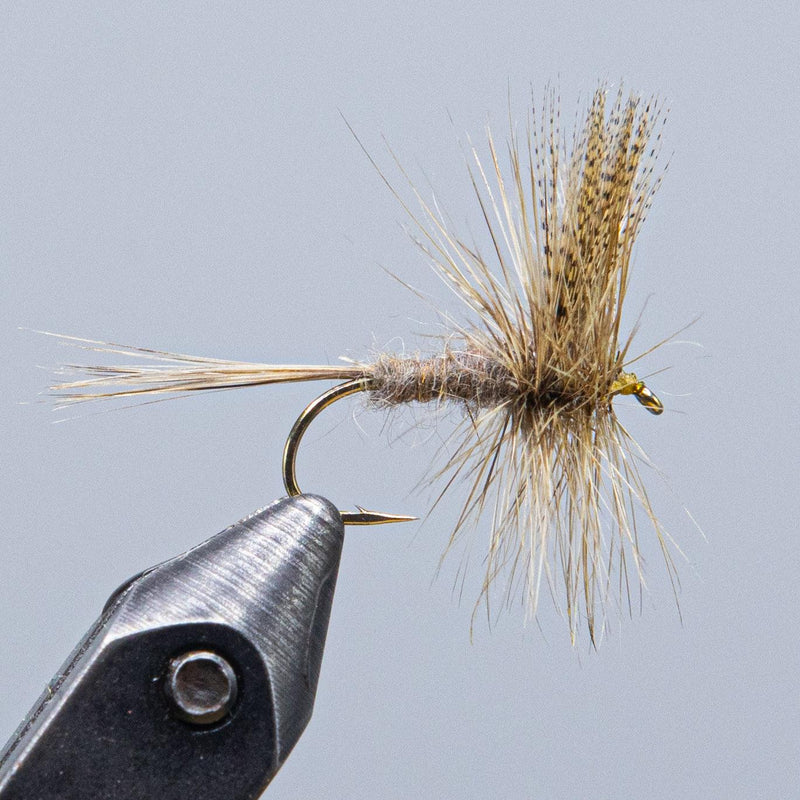 Dark fishing fly with curved hook, metallic body, and tan feather tail