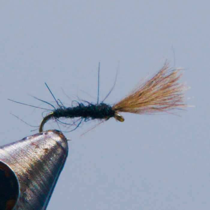 Mole fly fishing lure with dark fuzzy body and tan feather tail on a hook