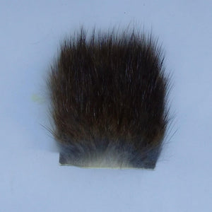 muskrat at a maine fly dhop