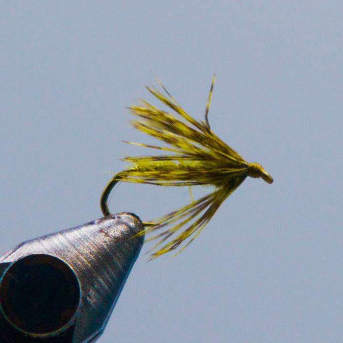 a soft hackle emerger fly with an olive hares ear body