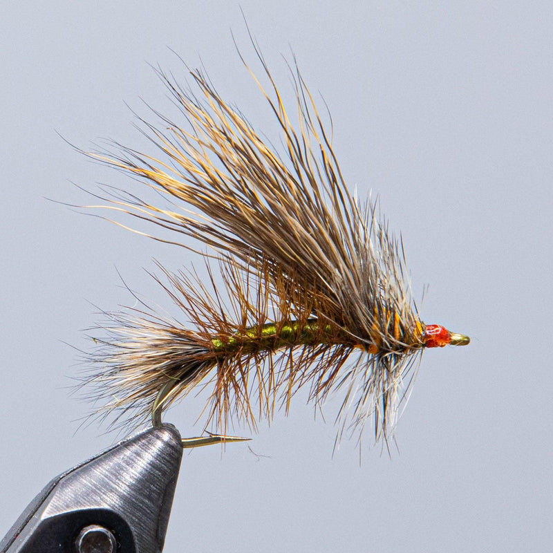 Fishing fly lure with brown body and mixed tan hackle feathers on hook