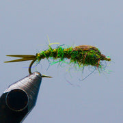Stonefly fly fishing lure with green body, gold highlights, and fuzzy fibers