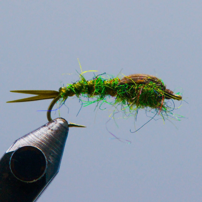Stonefly fly fishing lure with green body, gold highlights, and fuzzy fibers