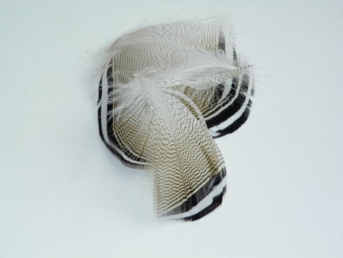 Black and white mesh fascinator with fringed brim and striped band