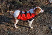 Dog body guard vest in red and black with front straps and padded panels
