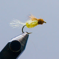 sparkle pupa fly