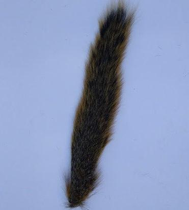 A large fox squirrel tail with ginger brown hair used for tying flies