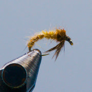 Larva fly on metal hook, tan-brown fuzzy body with darker head