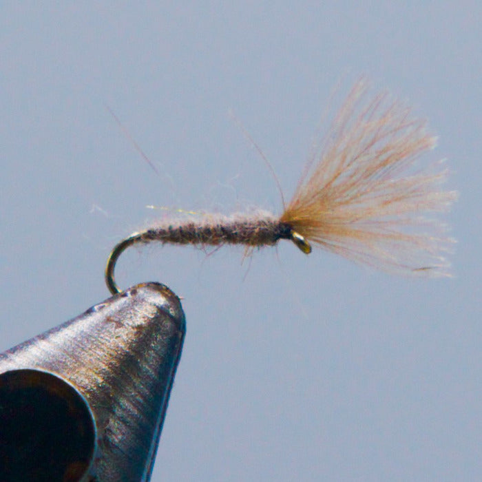 Mole fly fishing lure with slender dark body and tan feather wing fibers