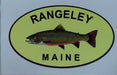 Rangeley Brook Trout sticker - Rangeley Region Sports Shop
