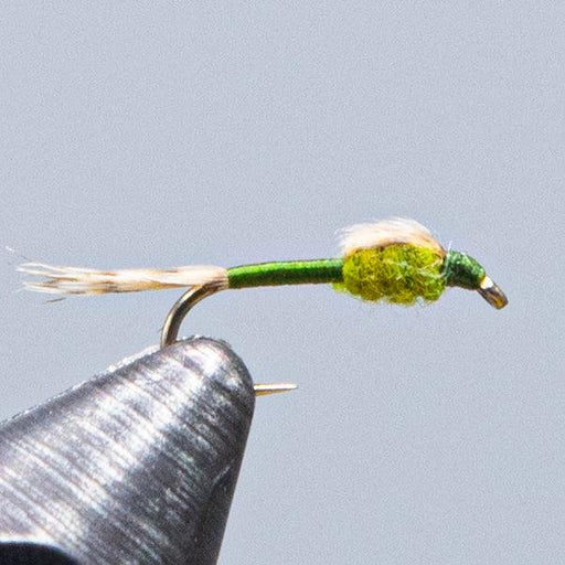 can you use wd40 on fishing lures Bead WD - 40 - Rangeley