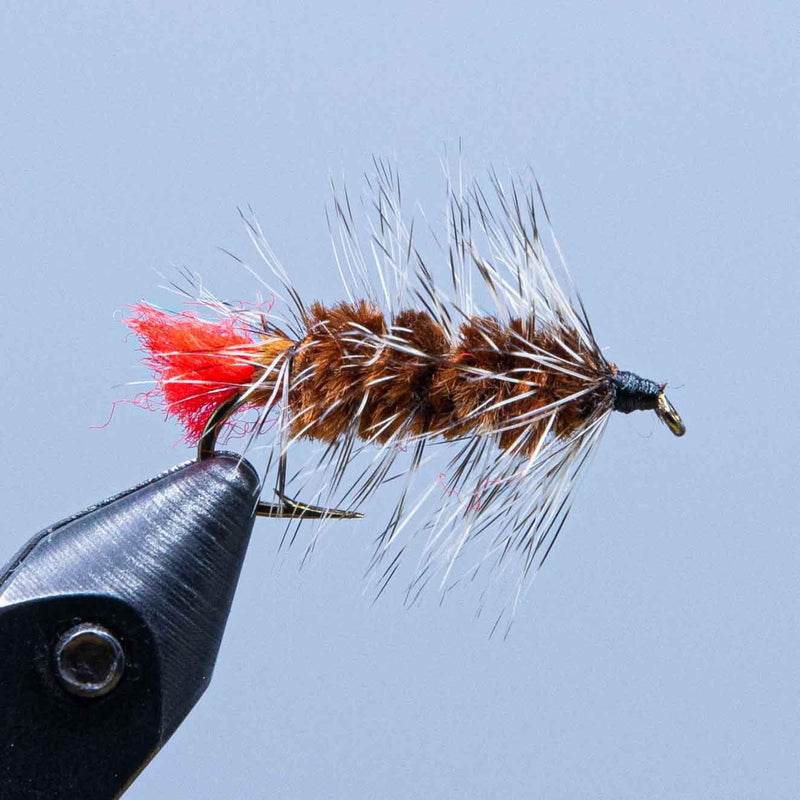 Feather fishing fly lure with brown-and-white fuzzy body, red accent tail, black hook